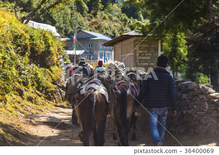 珠穆朗瑪峰路 36400069
