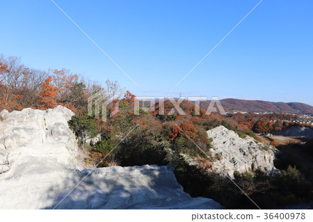 Tun Crane Tun Crane 36400978