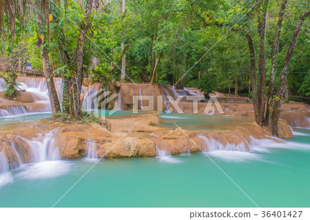 Waterfall in rain forest (Tad Sae Waterfalls) 36401427