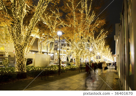 Omotesando Illumination