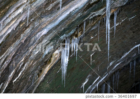 京畿道古代三陸市 36401697