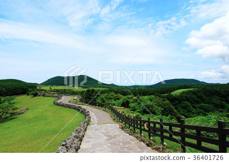 濟州島桑古布里 36401726