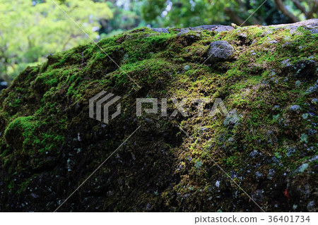 Sangumburi, Jeju Island Sangumburi, Jeju Island 36401734