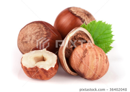 Hazelnuts with leaves isolated on white background Hazelnuts with leaves isolated on white background 36402048