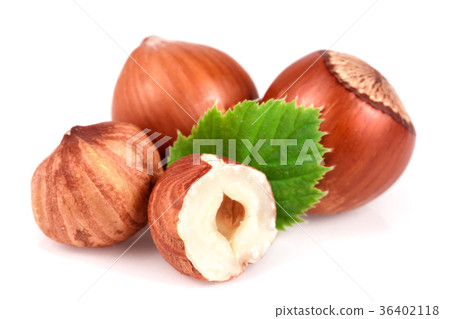 Hazelnuts with leaves isolated on white background 36402118