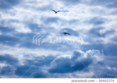 clouds in the blue sky 36402574