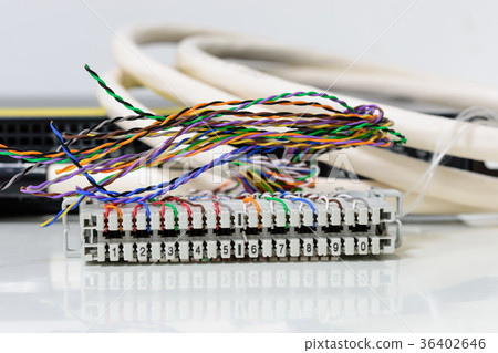 Telephone cabling patch panel with cables Telephone cabling patch panel with cables 36402646