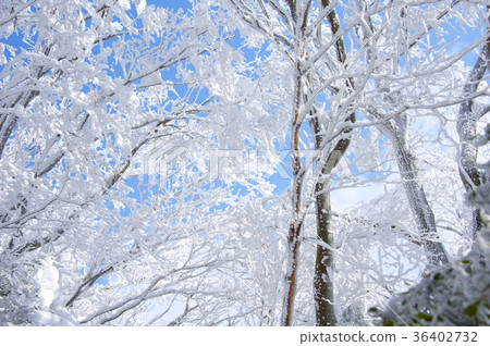 白雪皚皚的高見山和白霜 白雪皚皚的高見山和白霜 36402732