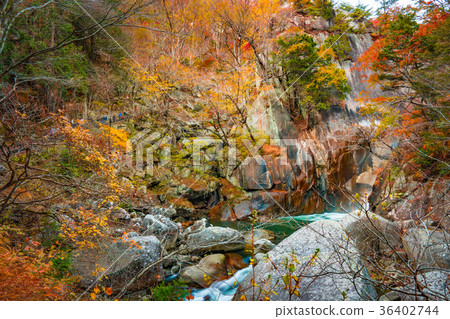 Shosenkyo秋季景觀2017 Shosenkyo秋季景觀2017 36402744