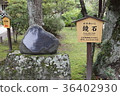 A mirror stone 36402930