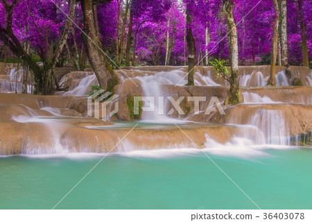 Tad Sae Waterfalls at Luang prabang, Laos. 36403078