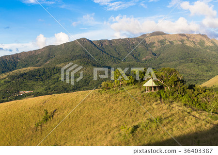 small wooden house in the green hill near Coron 36403387