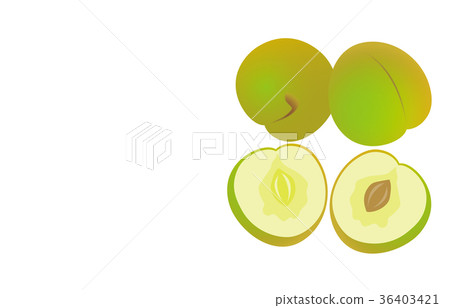 Cut fruit plum 36403421