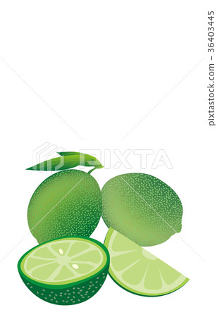 Cut fruit lime 36403445