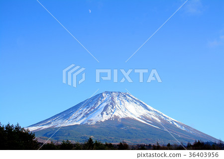 Mount Fuji  36403956