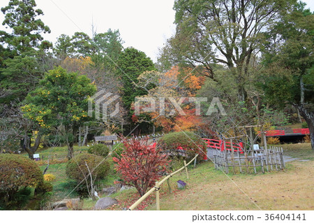 Manyo Botanical Garden Manyo Botanical Garden 36404141