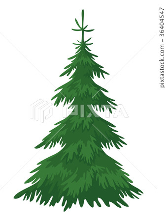 Christmas fir tree 36404547