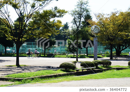 大石公園 36404772