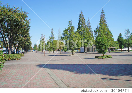 大石公園 36404774