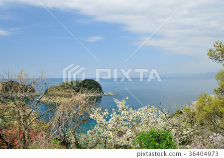 從湯加的鼻子看守衛地方的花園,大島 從湯加的鼻子看守衛地方的花園,大島 36404973