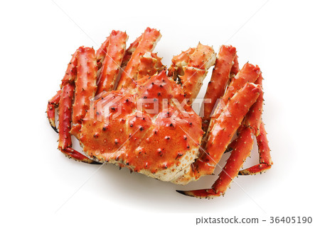 King crab King crab 36405190