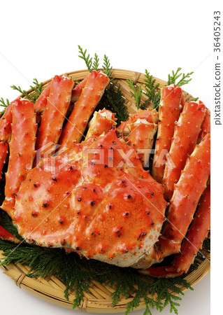 King crab King crab 36405243