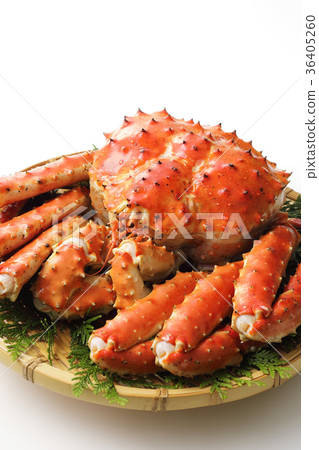 King crab 36405260
