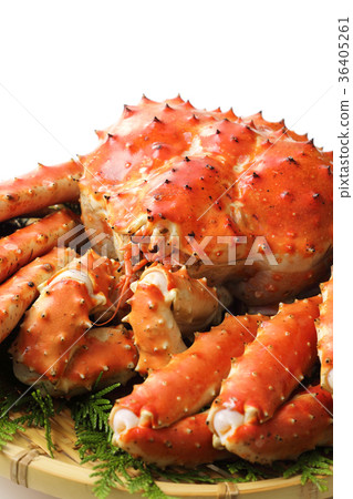 King crab 36405261