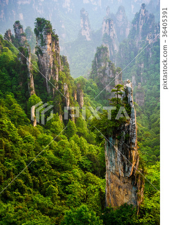 Zhangjiajie National park, Wulingyuan, Hunan,China 36405391