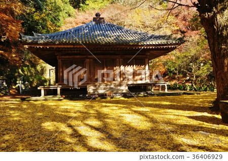 Fugiji寺的秋天 Fugiji寺的秋天 36406929