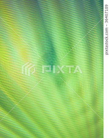 Visual feeling, full of vitality and abstract background Visual feeling, full of vitality and abstract background 36407189