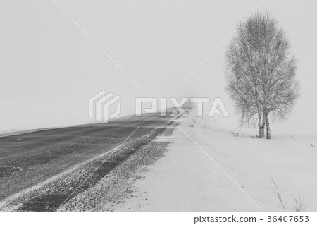 Winter road to lose away in the frosty fog Winter road to lose away in the frosty fog 36407653