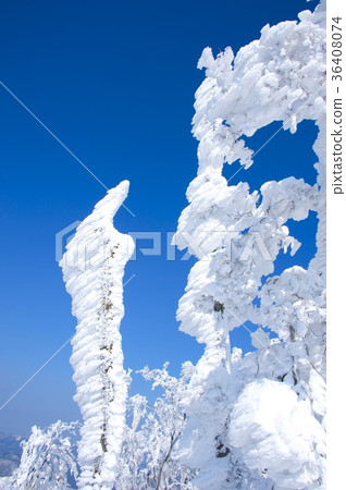 Snowy Takami mountain and hoarfrost 36408074