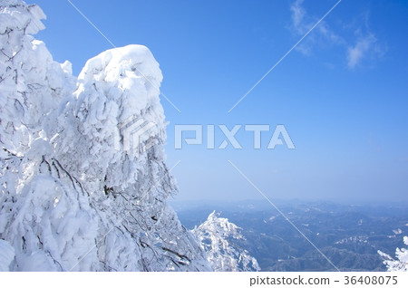 Snowy Takami mountain and hoarfrost Snowy Takami mountain and hoarfrost 36408075