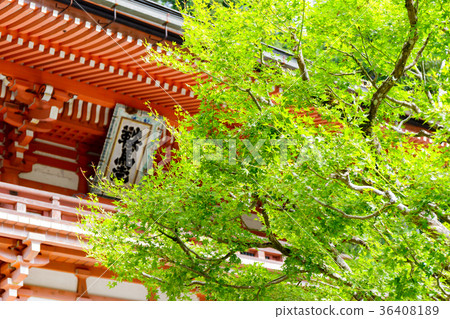 庫拉瑪寺 庫拉瑪寺 36408189