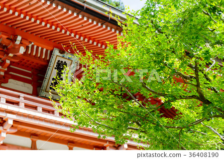 庫拉瑪寺 庫拉瑪寺 36408190