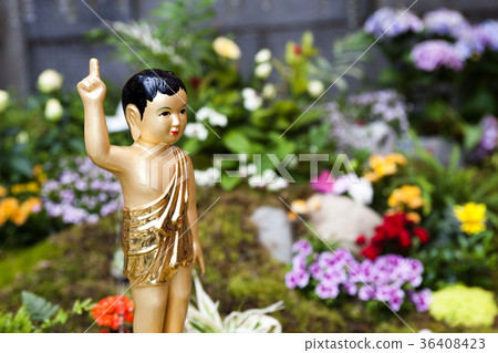Buddhist priest, Buddha's birthday 36408423