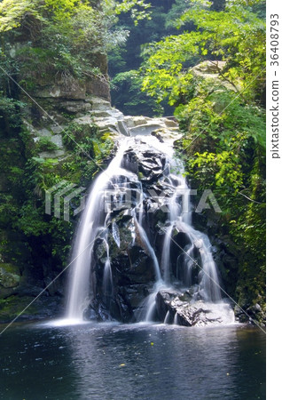 Red Eye Shimpaki Falls ~ Senju Waterfall ~ Red Eye Shimpaki Falls ~ Senju Waterfall ~ 36408793