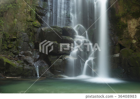 新宮加茂樹瀑布 新宮加茂樹瀑布 36408983