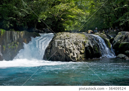 黎明瀑布〜菊池谷〜 36409524