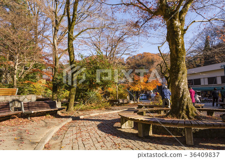 Takaosan Kiyotaki Ekimae approach 36409837