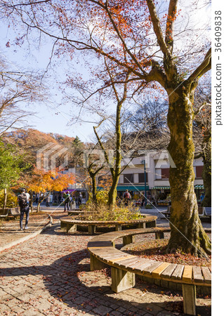 Takaosan Kiyotaki Ekimae approach 36409838