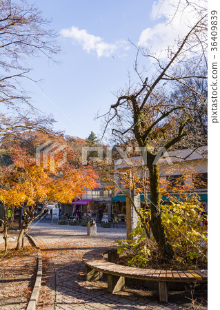 Takaosan Kiyotaki Ekimae approach 36409839