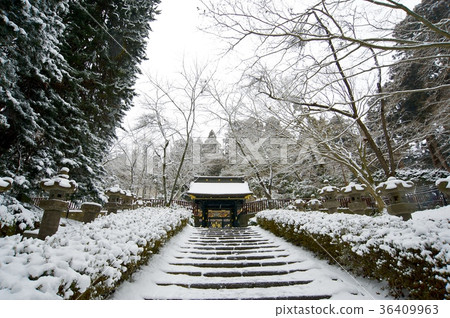 Snow's Senzo 36409963