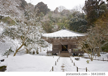 白雪皚皚的三壘大廳 白雪皚皚的三壘大廳 36410085