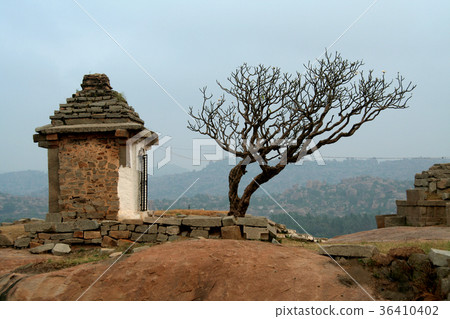 Tree and Temple Tree and Temple 36410402
