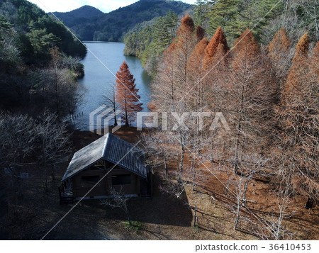 Mother and Son Oike Moss-Oike, Mita City, Hyogo Prefecture 1 36410453