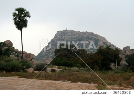 Trees and Rocky Hill Trees and Rocky Hill 36410808