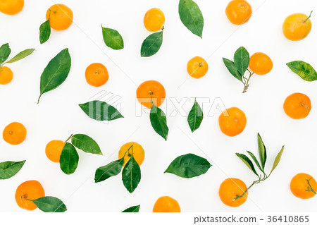 Citrus fruits with leaf on white background Citrus fruits with leaf on white background 36410865
