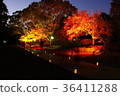 Autumn leaves of Kumamoto Castle Hosokawa sentenced part lighted up 36411288